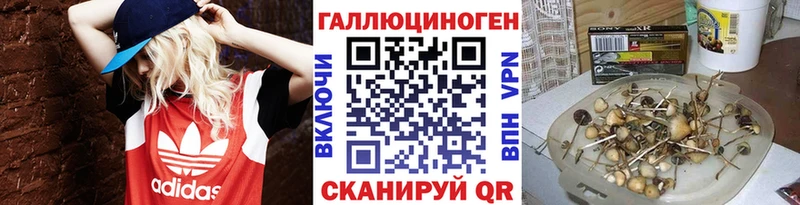 Псилоцибиновые грибы Magic Shrooms  купить закладку  Заводоуковск 